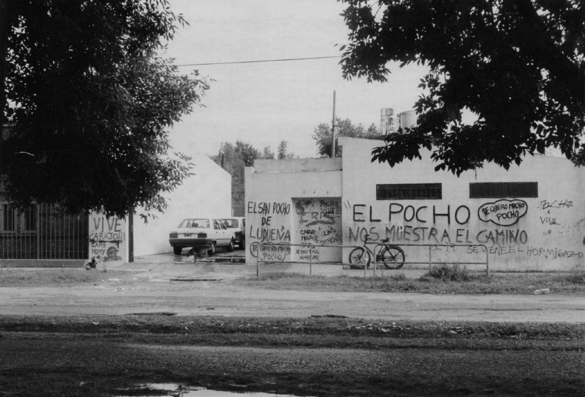 Pocho2.jpg